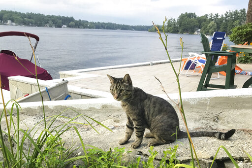 Lawmakers Fighting Like Cats And Dogs? Not Over This Bill