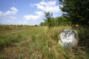 At Small Serbia Border Village, Migrants Describe Pushbacks