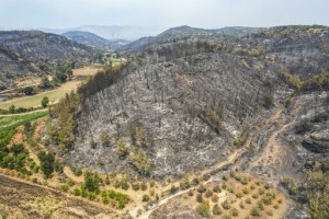 Death Toll In Wildfires That Hit Southern Turkey Rises To 4
