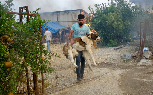 Wildfires In Southern Turkey Leave 3 Dead, 58 Hospitalized
