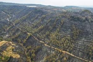 Death Toll In Wildfires That Hit Southern Turkey Rises To 4