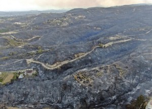 Wildfires In Southern Turkey Leave 3 Dead, 58 Hospitalized
