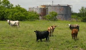 Forgotten Oil And Gas Wells Linger, Leaking Toxic Chemicals
