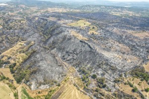 Death Toll In Wildfires That Hit Southern Turkey Rises To 4