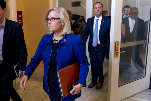 Conservatives Want To Boot Cheney, Kinzinger From House Gop