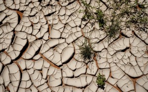 Forgotten Oil And Gas Wells Linger, Leaking Toxic Chemicals