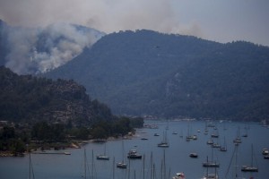 Turkey’s Govt Tells Skeptics Burned Areas Will Be Reforested