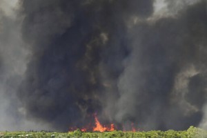Greek Heatwave Fuels Wildfires, Limits Acropolis Visits