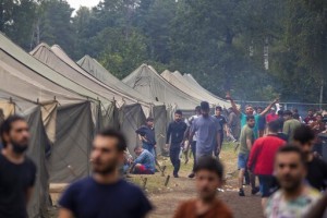 Red Cross Questions Lithuania On Trying To Block Migrants