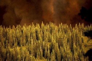 Evacuations Lifted As Progress Made Against Western Fires