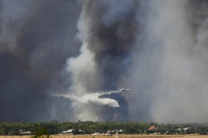 Thousands Flee Homes As Heat Wave Fuels Greek Wildfire