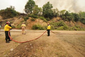 Forest Fires Rage In Greece; Blaze North Of Athens Rekindles