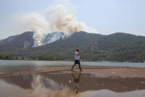 Turkey’s Govt Tells Skeptics Burned Areas Will Be Reforested