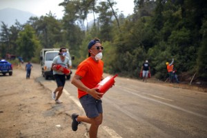Turkey’s Govt Tells Skeptics Burned Areas Will Be Reforested