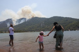 Turkey’s Govt Tells Skeptics Burned Areas Will Be Reforested