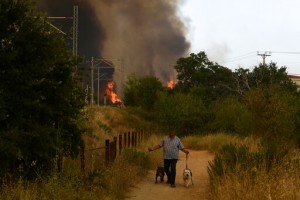 Thousands Flee Homes As Heat Wave Fuels Greek Wildfire