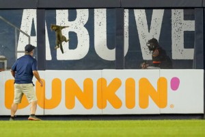 Elusive Kitten, Orioles Hittin’ In 7 1 Romp Over Yankees
