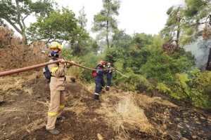 Forest Fires Rage In Greece; Blaze North Of Athens Rekindles