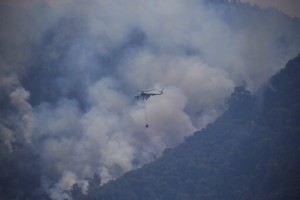 Turkey’s Govt Tells Skeptics Burned Areas Will Be Reforested