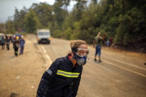 Turkey’s Govt Tells Skeptics Burned Areas Will Be Reforested
