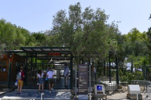 Acropolis In Greece Closes In The Afternoon Due To Heat Wave