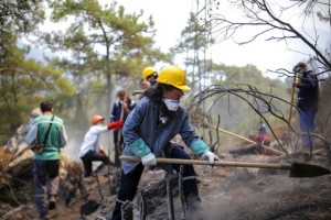 Turkey’s Govt Tells Skeptics Burned Areas Will Be Reforested
