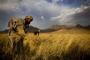 Afghanistan Update: Us Says Drone Kills Suicide Bombers Targeting Kabul Airport