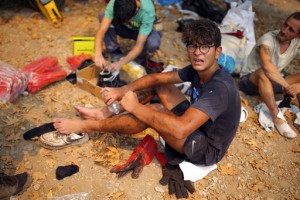 Turkey’s Govt Tells Skeptics Burned Areas Will Be Reforested
