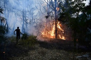 Thousands Flee Homes Outside Athens As Heat Fuels Wildfires