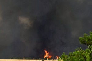 Thousands Flee Homes As Heat Wave Fuels Greek Wildfire