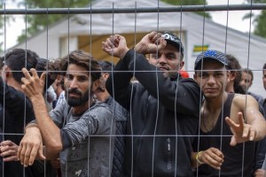 Red Cross Questions Lithuania On Trying To Block Migrants