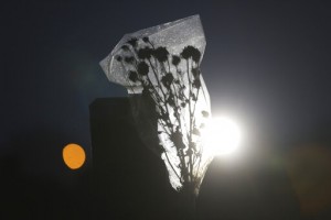 Indonesia Surpasses 100,000 Deaths Amid New Virus Wave