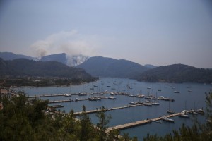 Turkey’s Govt Tells Skeptics Burned Areas Will Be Reforested