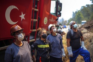 Turkey’s Govt Tells Skeptics Burned Areas Will Be Reforested