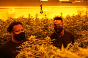 Calvin Johnson Aims To Change Game With Cannabis Business