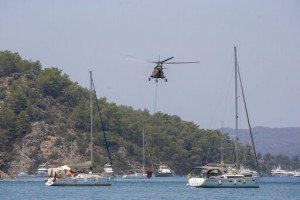 Turkey’s Govt Tells Skeptics Burned Areas Will Be Reforested