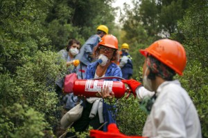 Turkey’s Govt Tells Skeptics Burned Areas Will Be Reforested