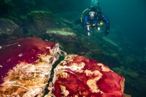 New Theory: Earth’s Longer Days Kick Started Oxygen Growth