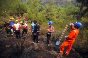 Turkey’s Govt Tells Skeptics Burned Areas Will Be Reforested