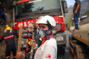 Turkey’s Govt Tells Skeptics Burned Areas Will Be Reforested
