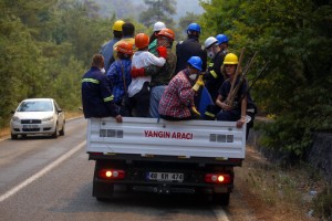 Turkey’s Govt Tells Skeptics Burned Areas Will Be Reforested