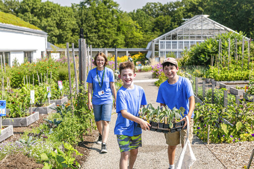 Schools Find Ways To Keep Gardening Lessons Blooming