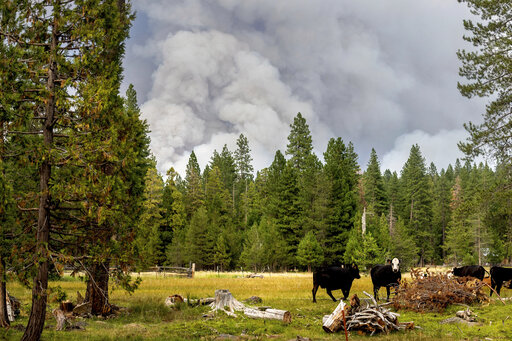 Huge California Fire Grows As Heat Spikes Again Across State