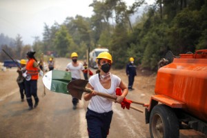 Turkey’s Govt Tells Skeptics Burned Areas Will Be Reforested