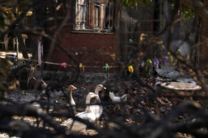Crews Race To Contain Fire Near Athens After Thousands Flee