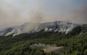 Fire Crews Still Battling Turkish Blazes As Some Reignite