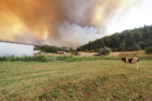 Greek Island Residents Flee Wildfire By Sea; Eu Sends Help