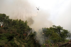 Forest Fires Rage In Greece; Blaze North Of Athens Rekindles