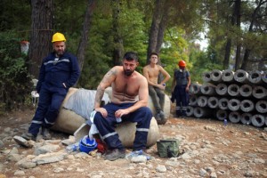 Turkey’s Govt Tells Skeptics Burned Areas Will Be Reforested