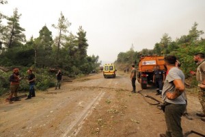 Forest Fires Rage In Greece; Blaze North Of Athens Rekindles